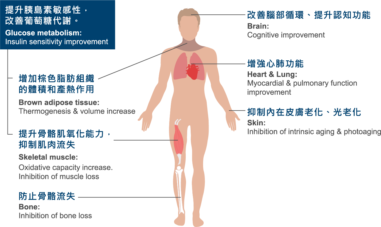 5.膚質與組織修復 