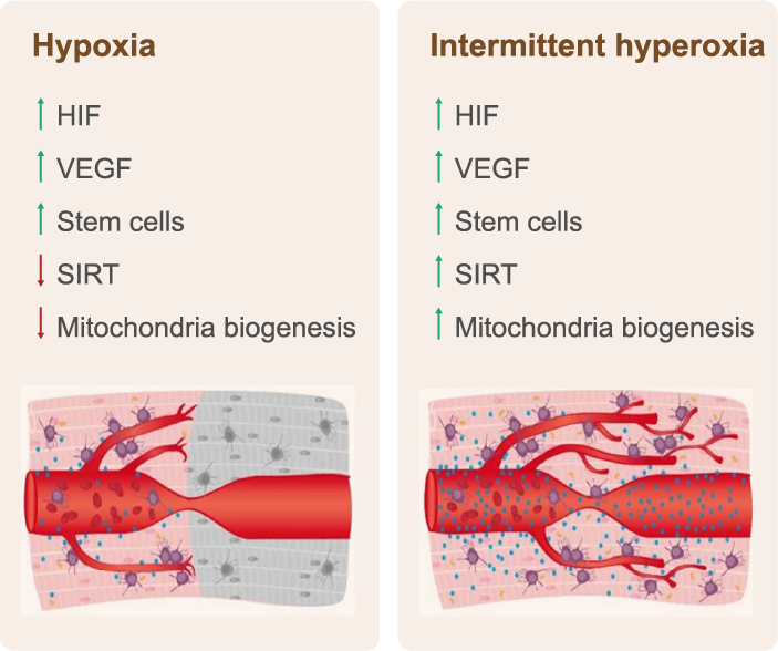 非疾病性健康促進與再生醫學應用 