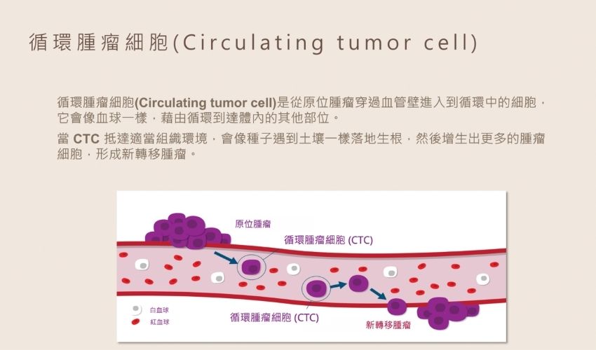 血管年齡檢測與基礎心血管檢查項目示意圖